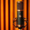 Telefunken Elektroakustik Alchemy Series - TF29 Copperhead