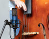 Telefunken Elektroakustik TF11