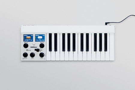 M4000D Digital Mellotron Micro