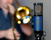 Telefunken Elektroakustik TF11