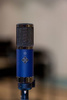 Telefunken Elektroakustik TF11