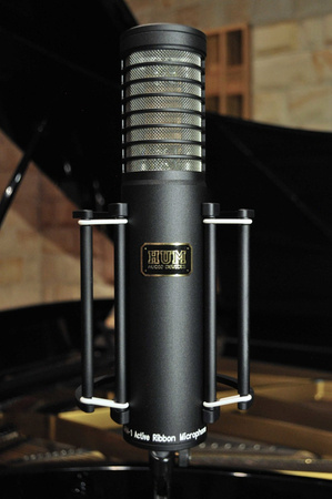 ARM-1S - Phantom Powered Active Ribbon Microphone (1″ Ribbon)